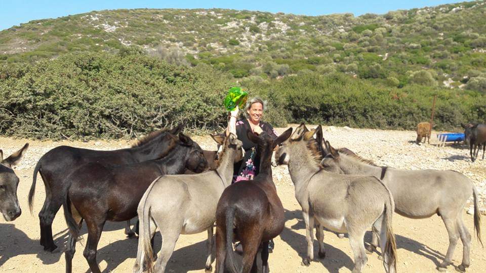 esek-adasi esek-adasi